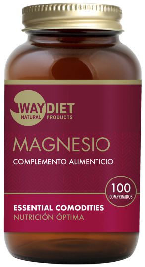 Magnesium 100 Tabletten