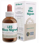 Schwarze Johannisbeere Ribes nigrum Les 50ml.