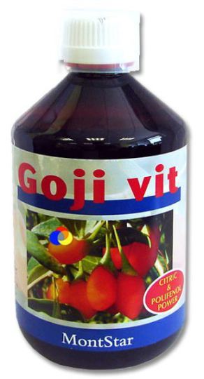 Goji Saft 500 ml Vit.