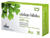 Ginkgo Biloba 60 Kapseln